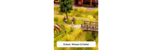 Gräser, Wiesen & Felder
