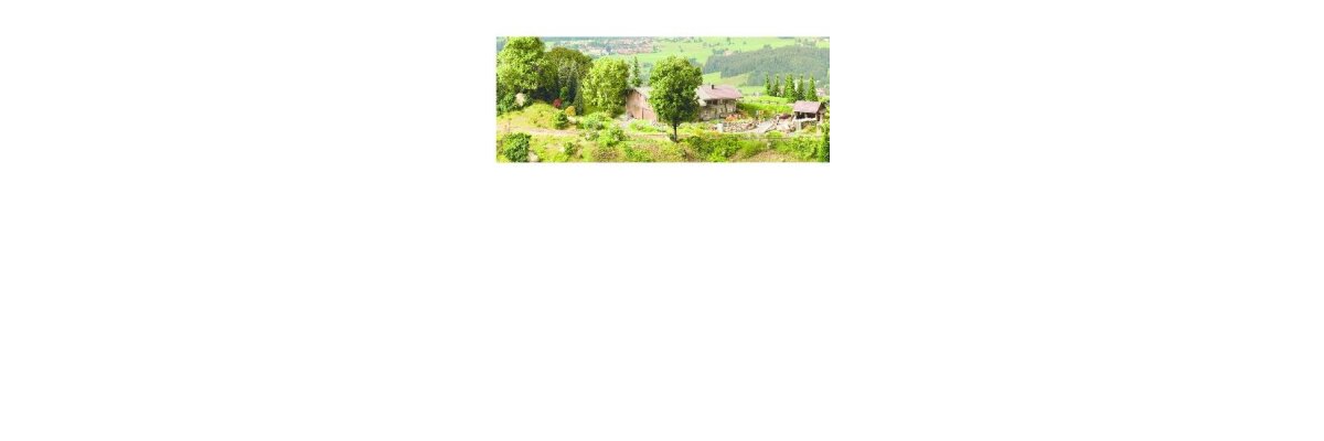 NOCH Gel&auml;ndebau - f&uuml;r die Landschaft...