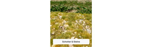 Schotter & Steine