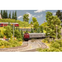 NOCH 71910 Ratgeber Modell-Landschaftsbau "St. Sebastian" G,0,H0,TT,N,Z