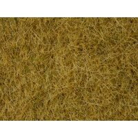 NOCH ( 07101 ) Wildgras, beige, 6 mm 0,H0,TT,N