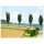 NOCH ( 07421 ) Natur+ “Kornfeld” G,0,H0,TT,N,Z