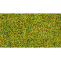 NOCH ( 08310 ) Streugras Sommerwiese, 2,5 mm...