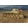 DRAGON 500776812 - 1:35 Pz.Beob.Wg.II Ausf.A-C