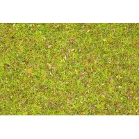 NOCH ( 08330 ) Streugras Blumenwiese, 2,5 mm...
