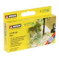 NOCH ( 14100 ) Farn H0