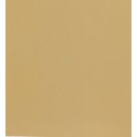 NOCH ( 61172 ) Acrylspray, matt, ocker G,0,H0,H0E,H0M,TT,N,Z