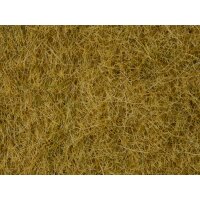 NOCH ( 07091 ) Wildgras, beige, 6 mm 0,H0,TT,N