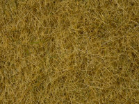 NOCH ( 07091 ) Wildgras, beige, 6 mm 0,H0,TT,N