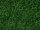NOCH ( 07094 ) Wildgras, dunkelgrün, 6 mm 0,H0,TT,N