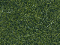 NOCH ( 07099 ) Wildgras XL, dunkelgrün, 12 mm 0,H0