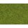 NOCH 08150 Streugras Frühlingswiese, 2,5 mm G,0,H0,H0E,H0M,TT,N,Z