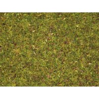 NOCH ( 08155 ) Streugras Blumenwiese, 2,5 mm...