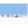 NOCH ( 15826 ) Snowboarder H0