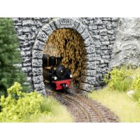 NOCH ( 58032 ) Tunnel-Fels-Innenwand, gerade H0,H0E,H0M
