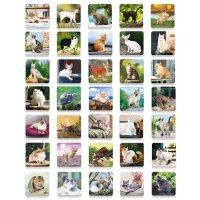 Lisciani (058082) Cats Memo