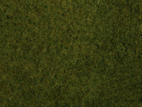 NOCH ( 07282 ) Wildgras-Foliage, olivgrün G,0,H0,TT,N,Z