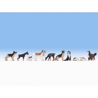 NOCH ( 36717 ) Hunde N