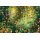 PIATNIK 549144 - PUZZLE 1000 T. TUKANS IM DSCHUNGEL