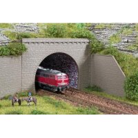 AUHAGEN (44636) Tunnelportale zweigleisig