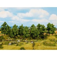 NOCH 24600 - Laubbäume 8 Stück, 10 -14 cm H0,TT