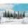 NOCH 24681 - Schneetannen 16 Stück, 10 -14 cm H0,TT