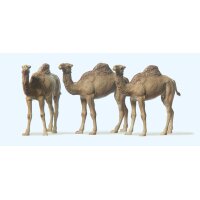 Preiser 20397 - Dromedare 1:87