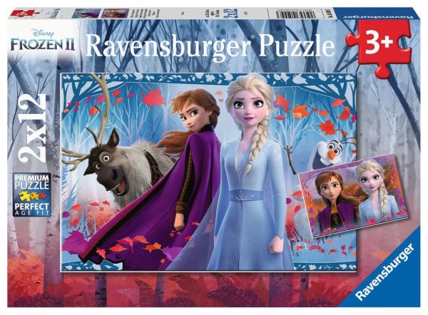 Ravensburger 05009 Disney Frozen Reise ins Ungewisse 2 X 12 Teile