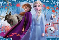 Ravensburger 05009 Disney Frozen Reise ins Ungewisse 2 X 12 Teile