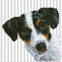 DIAMOND DOTZ® DD3.023 Me  20x20 cm