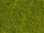 NOCH 08363 - Streugras hellgrün, 4 mm, 20 g 0,H0,TT,N,Z