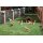 Busch 7896 Apportierspiel m.Hunden