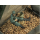 Juweela 23104 - 1:32 Kartoffeln, 100g