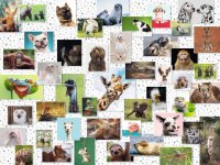 Ravensburger 1500 Teile - 16711 Funny Animals Collage