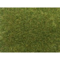 NOCH 07118 - Wildgras 0,H0,TT