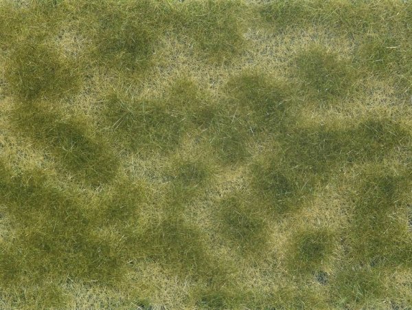 NOCH 7253 - Bodendecker-Foliage grün/beige G,1,0,H0,H0M,H0E,TT,N,Z