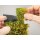 NOCH 7257 - Bodendecker-Foliage Wiese rot G,1,0,H0,H0M,H0E,TT,N,Z