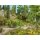 NOCH 7257 - Bodendecker-Foliage Wiese rot G,1,0,H0,H0M,H0E,TT,N,Z