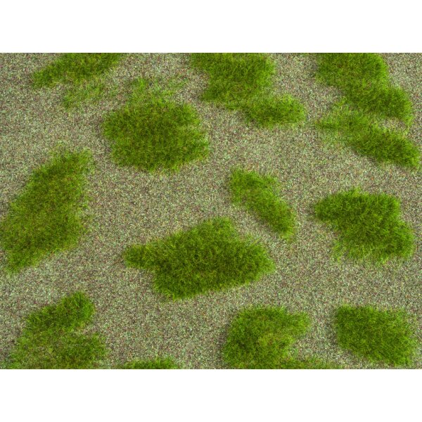 NOCH 07474 - Natur+ "Grassteppe" G,0,H0,TT,N,Z