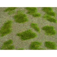 NOCH 07474 - Natur+ "Grassteppe" G,0,H0,TT,N,Z