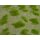 NOCH 07474 - Natur+ "Grassteppe" G,0,H0,TT,N,Z