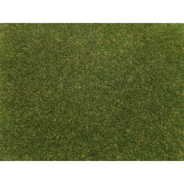 NOCH 08364 - Streugras 0,H0,TT,N,Z