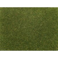 NOCH 08364 - Streugras 0,H0,TT,N,Z