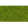 NOCH 08200 Streugras Frühlingswiese, 1,5 mm G,0,H0,H0E,H0M,TT,N,Z