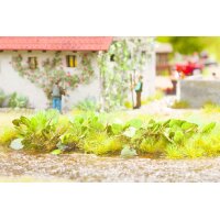 NOCH 14136 Laser-Cut minis "Pestwurz"