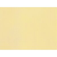 NOCH ( 61171 ) Acrylspray, matt, elfenbein...