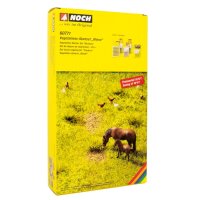 NOCH 60771 Vegetations-Startset „Wiese
