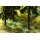 NOCH 60772 Vegetations-Startset „Im Wald