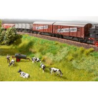 NOCH 60775 Vegetations-Startset „Bahndamm