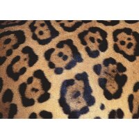 Ravensburger 17096  Puzzle 1000 Teile Animal Print